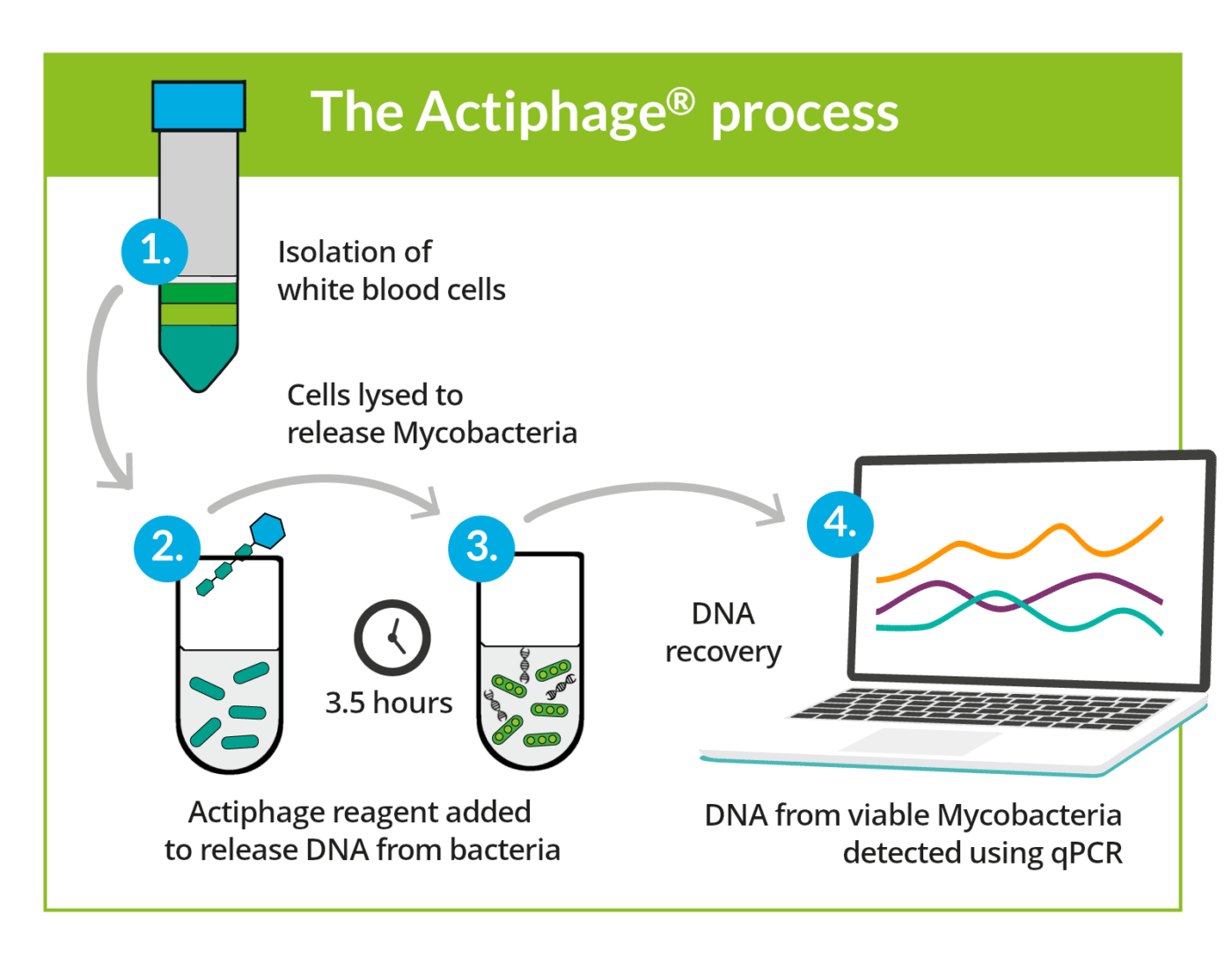 Phagebased diagnostics PBD Biotech