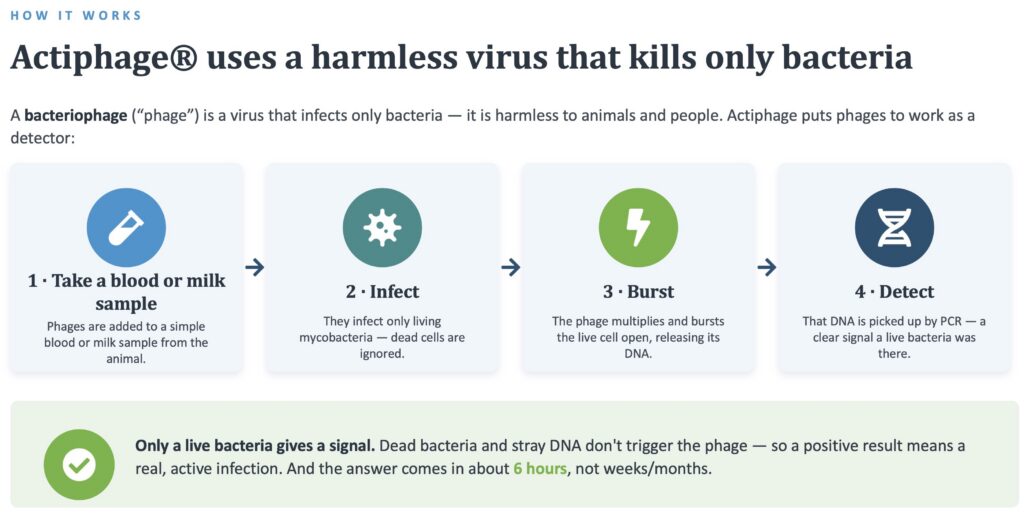 Actiphage phage-based diagnostic